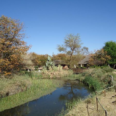 Phokoje Bush Lodge Selebi-Phikwe Экстерьер фото