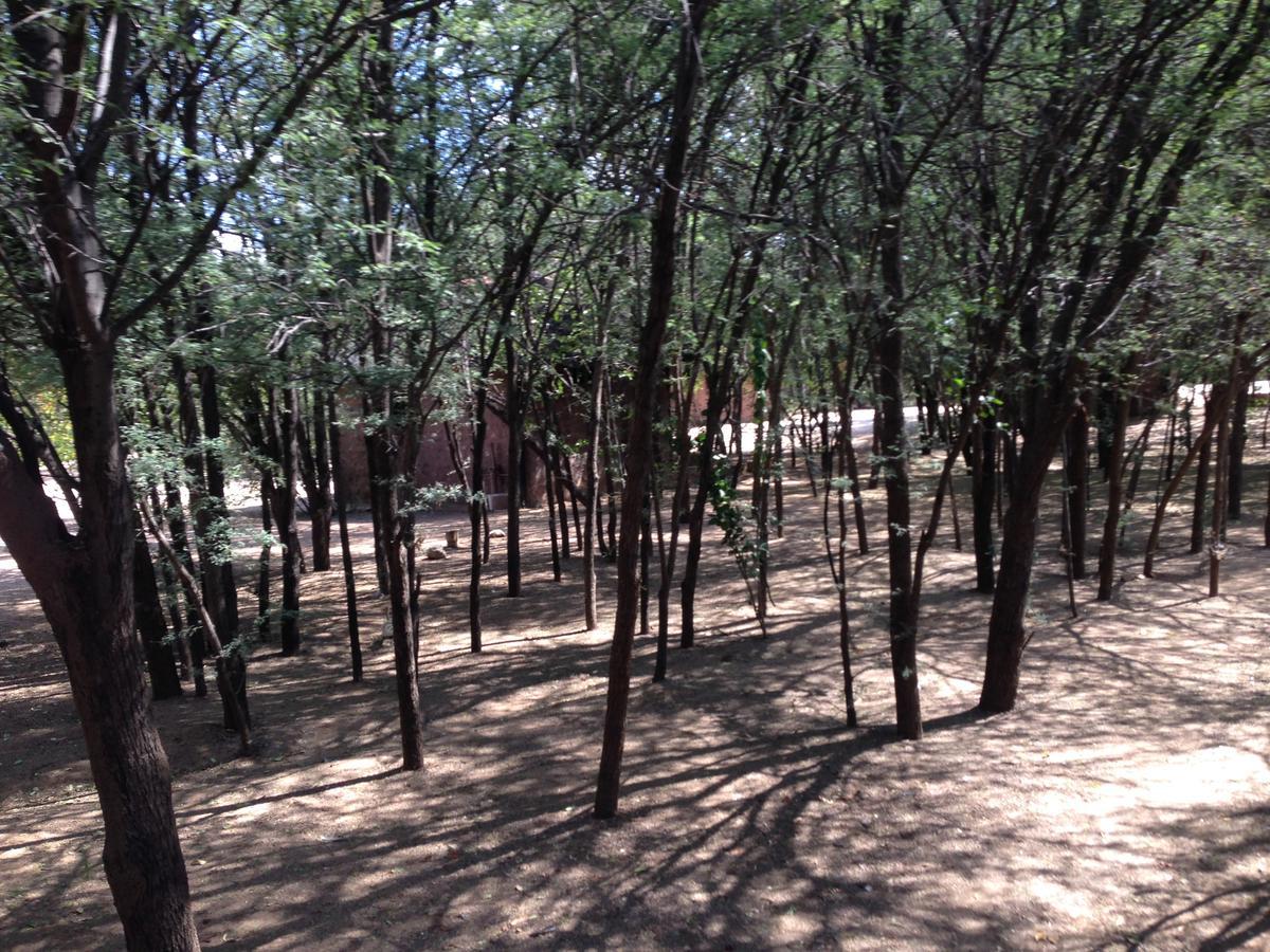 Phokoje Bush Lodge Selebi-Phikwe Экстерьер фото